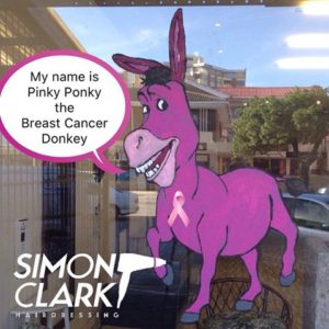 Simon Clark Hairdressing Pinky Ponky the Breast Cancer Donkey 